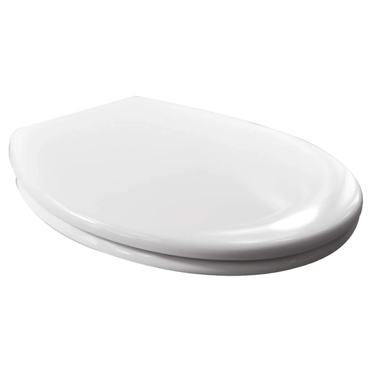 Dejhanae Soft Close Elongated Standard Toilet Seat