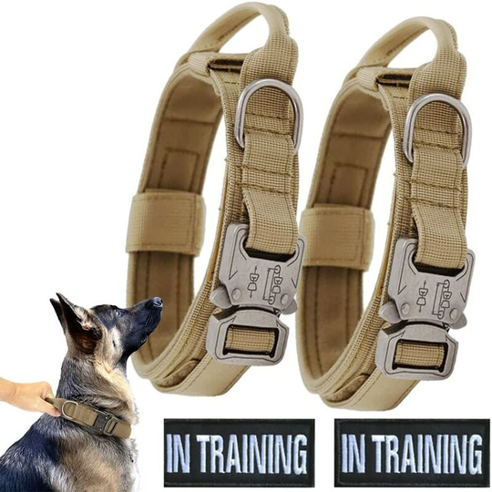 Perle Rare - 2 Tactical Dog Collars + 2 Reflective Velcro, Personalized Dog Collar, Adjustable Training Collar with Handles - xl