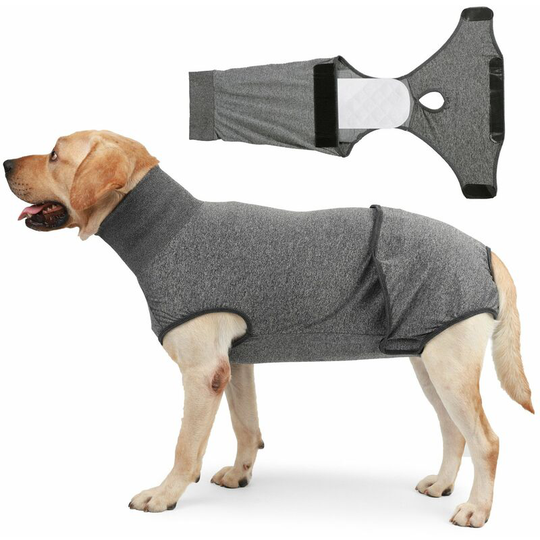 Cat Dog Recovery Suit After Dog Surgical Replacement Onesie Neuter Cone Alternatives Belly Wound Dressings Puppy Diaper Diapers (s)