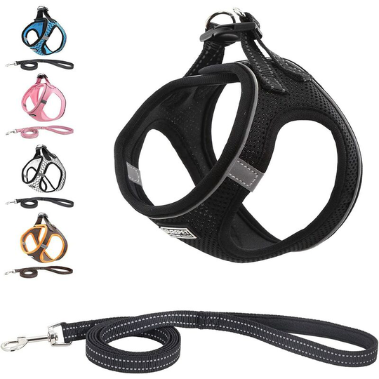 Aougo - Pet Reflective Soft Mesh Dog Harness and Leash Set, Breathable No-Pull Padded Harness Leash Set, Comfortable Training for Small Puppies/Dogs