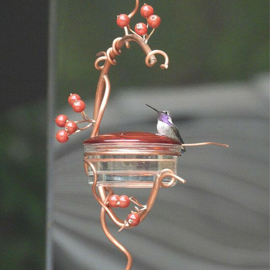 Courtyard bird feeder Red Berries Hummingbird Feeder Forest Hanging cup Garden Feeding Bird Feeder Outdoor Indoor Pet Feeding