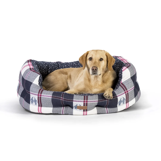Fatface Bolster Cushion in Multicolour