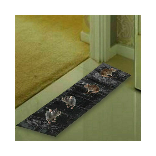 Mice Traps Mouse Rat Trap Bug Terminator Large Size Super Rat Snake Bug Trap