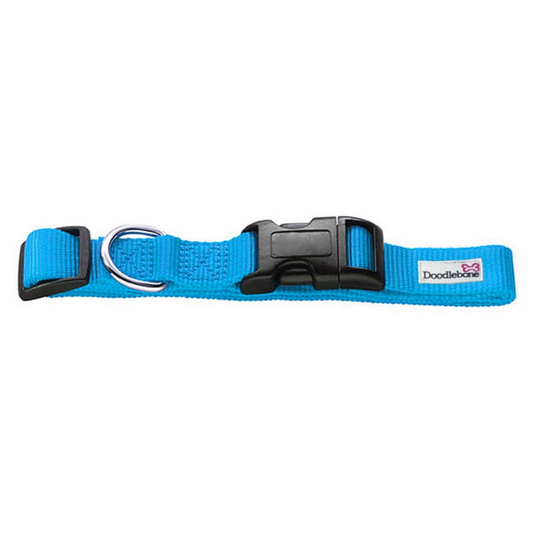Doodlebone Bold Nylon Dog Collar