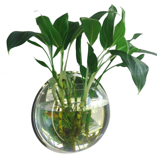 Home Decoration Wall Mount Fish Tanks Flower Vase, 230mm diameter & type 1 - 230mm diameter & type 1