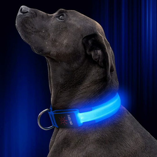 Led Dog Collar, Adjustable Nylon Webbing Glowing Pet Safety Collar, usb Rechargeable Light Up Collars for Your Dogs (Blue, Large)