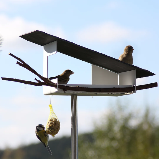 Futterstation Decorative Bird Feeder