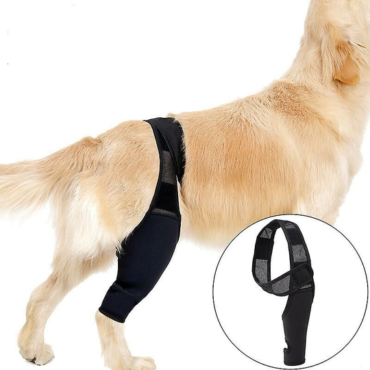 Dog Knee Brace for acl, Dislocated Knee, Arthritis - Keeps Joints Warm - Extra Support - Reduces Pain and Inflammation (l)