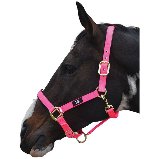 Hy Grand Prix Head Collar (Pony) (Hot Pink) - Hot Pink
