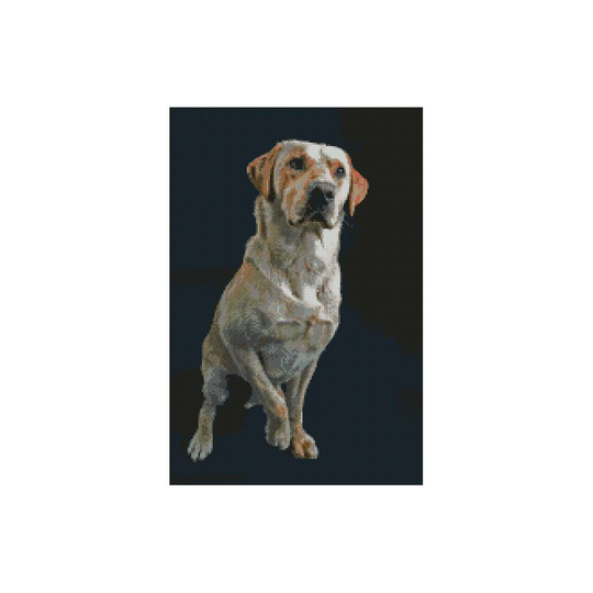 Golden Labrador lab Dog Puppy Cross Stitch Kit 10" x 15"