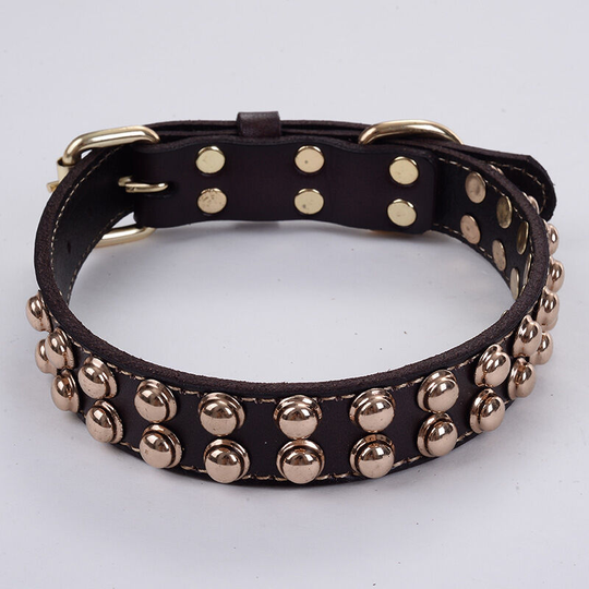 Bette Genuine Leather Dog Collar Studded Adjustable Pet Collars Ideal for Small Medium Large and Extra Large Breed Dogs (Brown) (m)