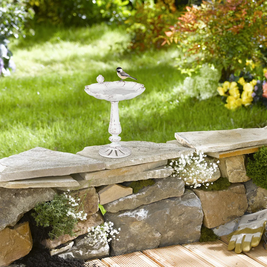 Cast iron bird bath