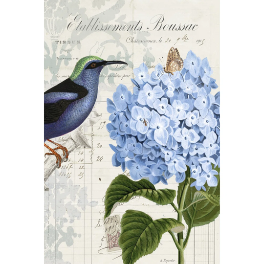 Vintage Aviary I - Wrapped Canvas Graphic Art