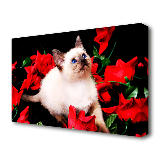'Kitten Roses Wildlife' Photographic Print on Canvas