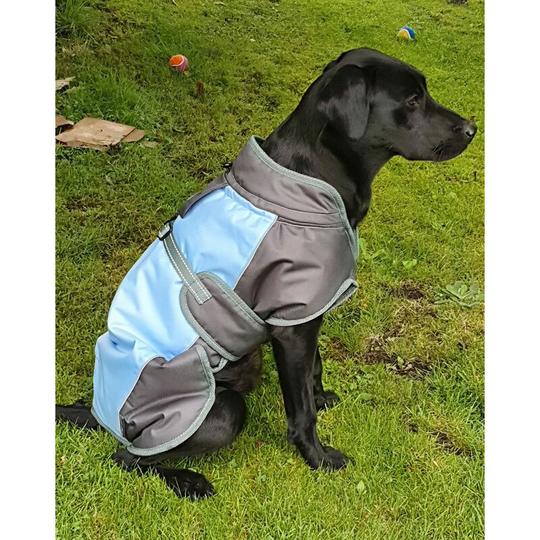 Henry Wag - Waterproof Dog Coat - Medium (45 Cm) Blue / Grey