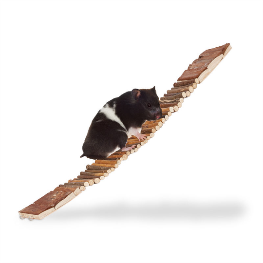 Relaxdays - Natural Wooden Hanging Ladder / Bridge, Bendable with Eyelets to Hang, Schima Wood for the Birdcage, hwd 1.5x55x10cm