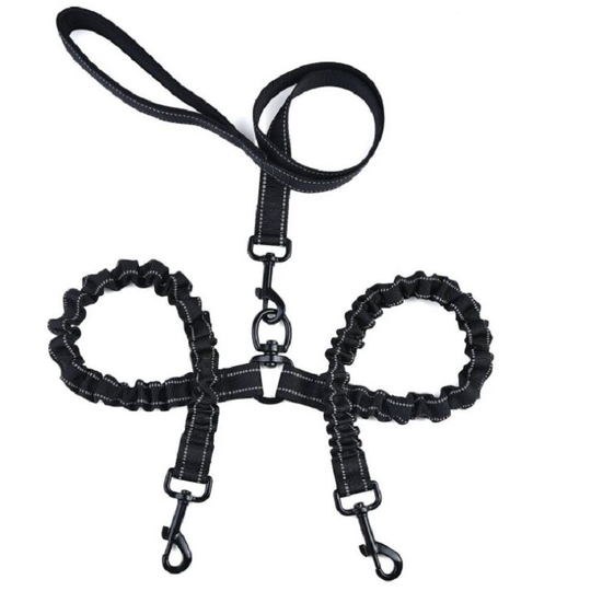 Betterlifegb - 1Pcs Double Dog Lead Splitter + 1Pcs Handle Dog Lead with Handle, Dual Shock Absorbing Bungee Double Leash Coupler - No Tangle for Two