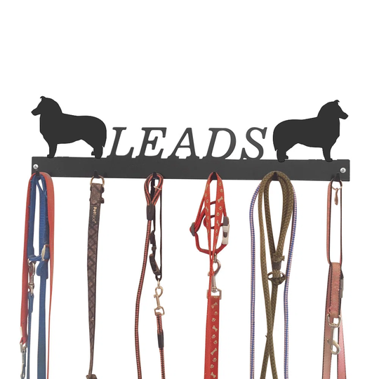 Allene Wall Mounted Coat Rack
