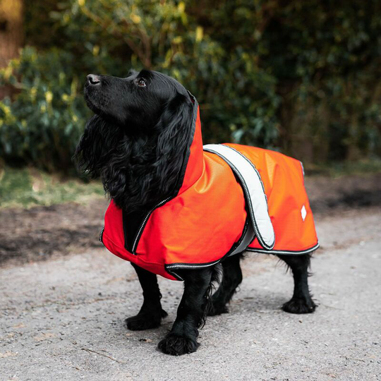Ultimate 2-In-1 Dog Coat Orange - 35 Cm (14') Orange - Danish Design