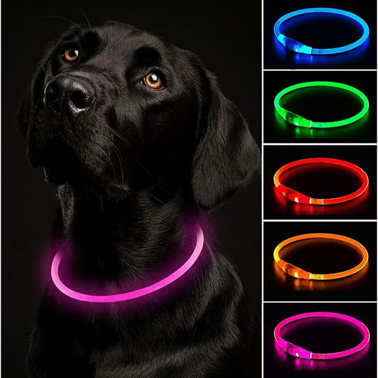 Usb Rechargeable Light Up Flashing Dog Collar Adjustable Length, Cuttable Waterproof Flashing Collar for Dogs - 3 Modes, for Small Medium Large Dogs