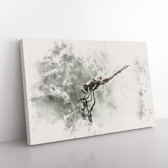 Perched Dragonfly Watercolour - Wrapped Canvas Graphic Art