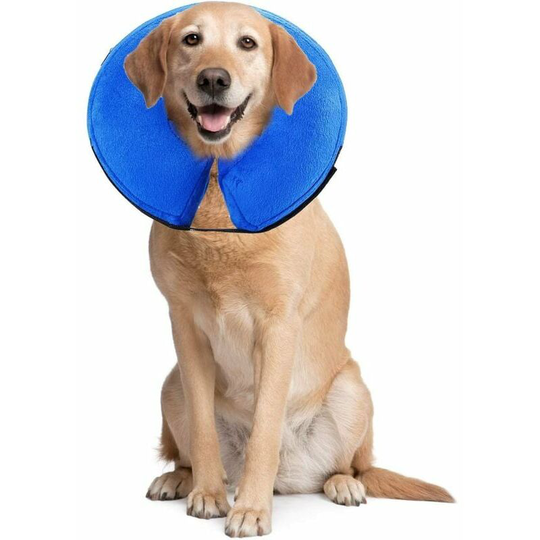 Comfortable recovery influenza necklace for dog protection, adjustable, washable PS005 xl