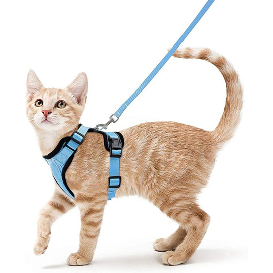 Cat Harness Small Dog Leash Adjustable Kitten Harness Light Blue XS Reflective Cat Harness Collar Breathable Vest for Cat European, Maine Coon,