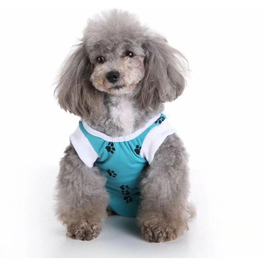 Pet Clothing Dog Clothing Sterilization Surgery Clothing Rehabilitation Clothing for Dogs Protective Clothing Company Dog Injury (Blue m)