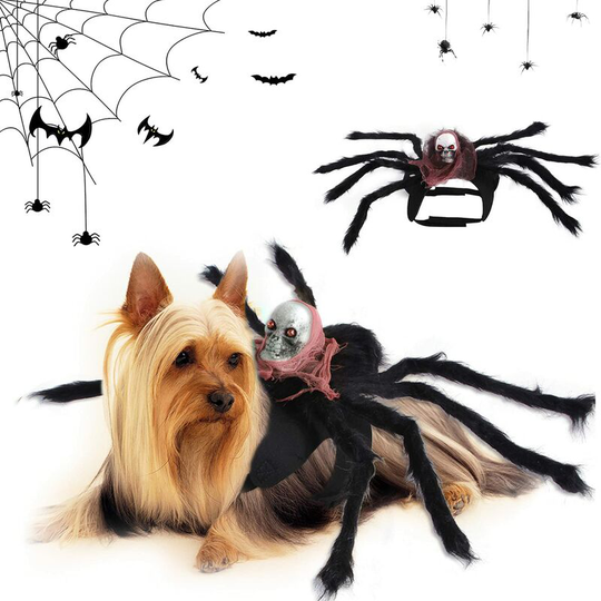 Sun Flowergb - Halloween Spider Dog Costume, Pet Halloween Costume, Dog Cat Spider Costumes, Halloween Costume Dog Costume, for Dogs Cats Halloween