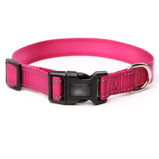 Bright Colors - Luxury Nylon Dog Collar With Buckles
