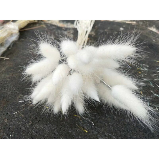 50 Stems Natural Dried Rabbit's Tail Grass, Rabbit's Tail Grass, for Home Decor, Small Pampas Grass for Bohemian Decor, Wedding Bouquets and Flower