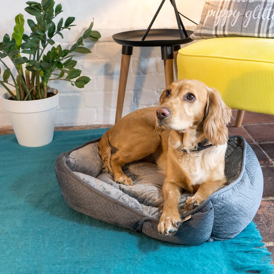 Geometric Pet Bolster Cushion in Dark Grey