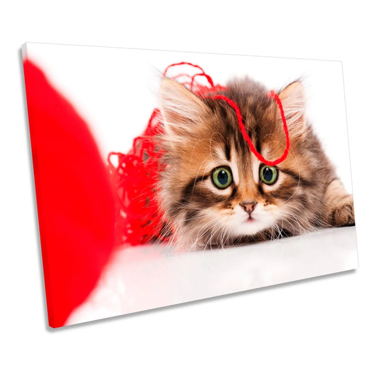 Cute Kitten Cat Wool Picture CANVAS WALL ART Print