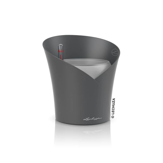 Orchidea Plastic Self-Watering Plant Pot
