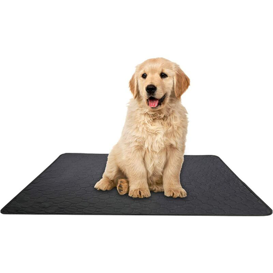 Washable Dog Training Mat, Leak Proof Anti-Slip Dog Absorbent Mat, Reusable for Indoor, Outdoor, Car and Travel Pet Exercise Accessory (50 x 70 )