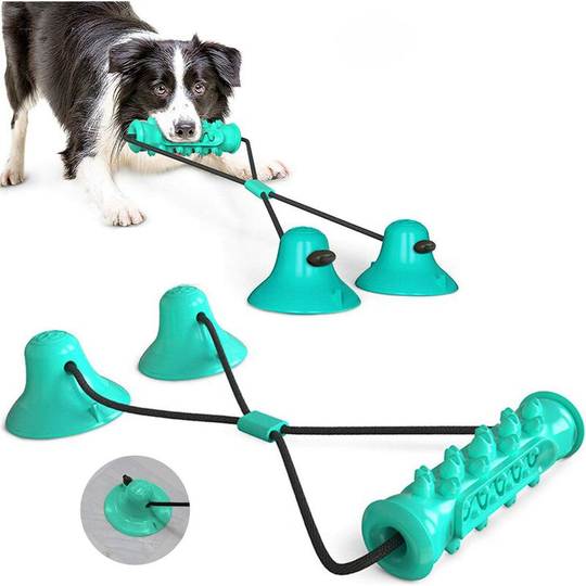 Bearsu - Dog Toys, Dog Suction Cup Toy, Multifunctional Pet Molar Bite Toy with Suction Cup, Interactive Dog Toy, Dog Toothbrush
