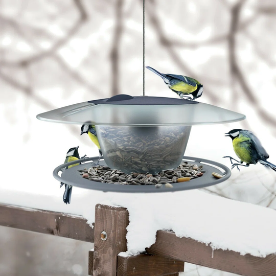 Sashay Hopper Bird Feeder