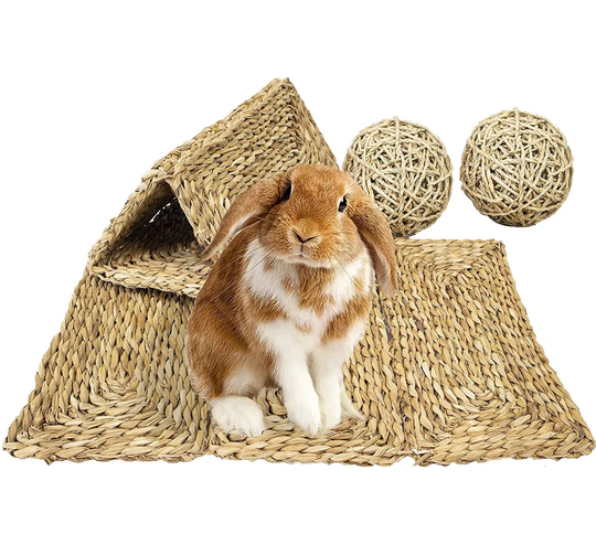 Curra Grass Pet Mats and Balls