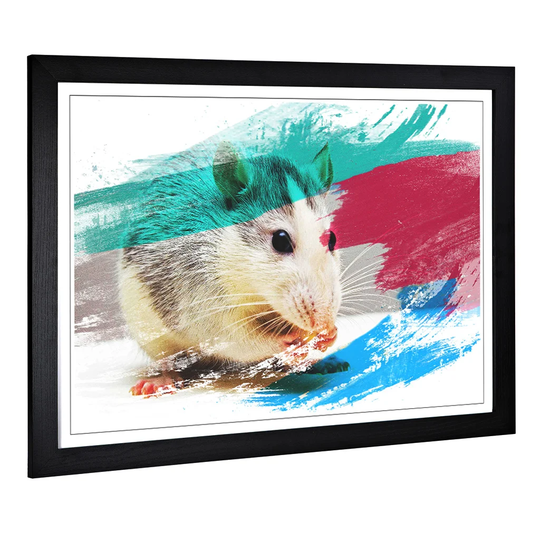'White and Grey Rat' Framed Art Print