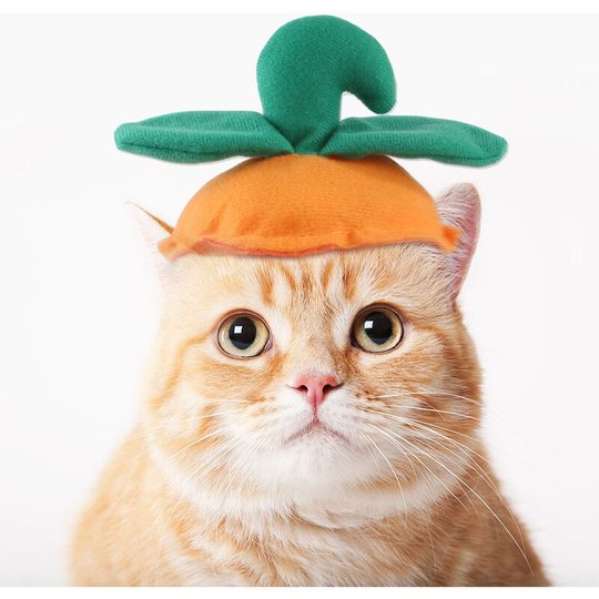 Pet funny headgear dog cat Halloween hat green leaf pumpkin headgear funny supplies 10.5 * 9cm