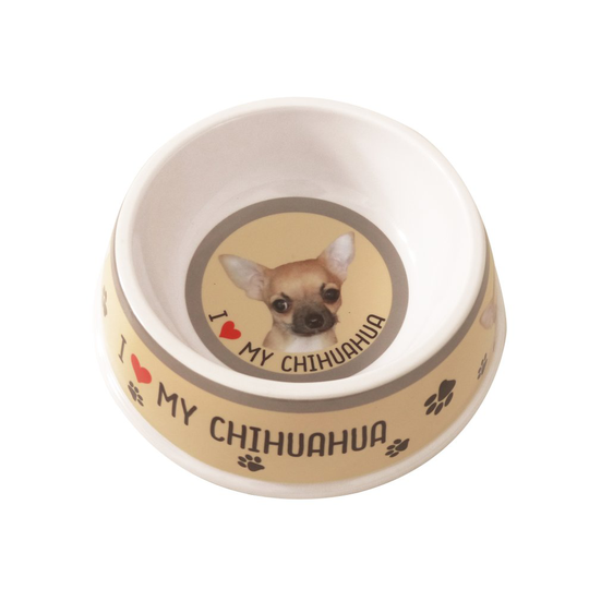 Smooth Coat Chihuahua Dog Bowl