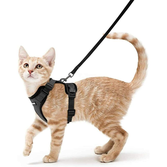 Betterlifegb - Harness Cat Small Dog Leave Harness Kitten Adjustable Black xs Necklace Harnai Cat Reflective Breathable Vest for Rabbit, European