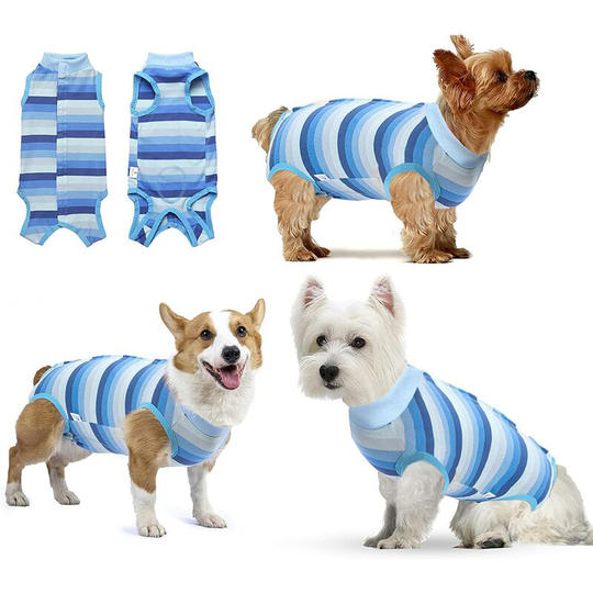 Recovery Clothes for Puppy Recovery Clothes for Abdominal Surgery or Skin Disease Anti-Lick Suit for Dogs
