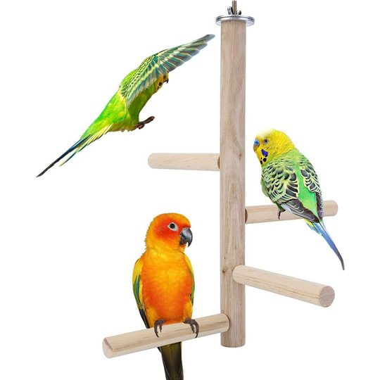 Natural Wooden Parrot Bird Stand, Parrot Cage, Wooden Branches, Standing Toys for Small Medium Parrots, Conure, Parakeet, Lovebirds