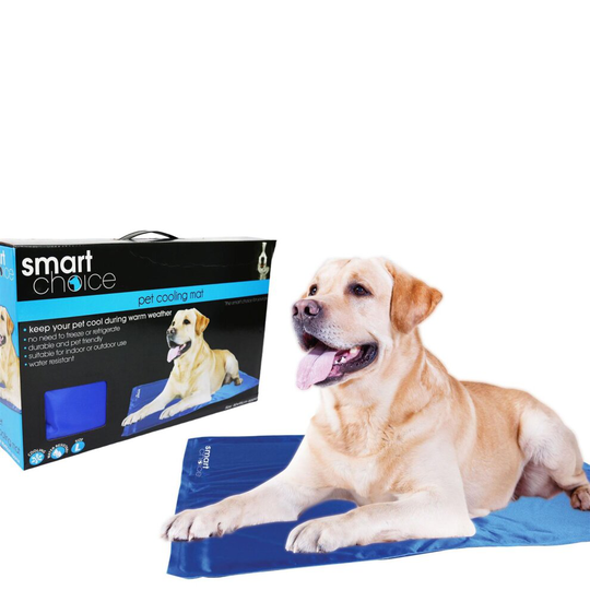 Pet Cooling Mat Large Dog Puppy Blanket Comfort Light Durable 80 x 95 cm Blue