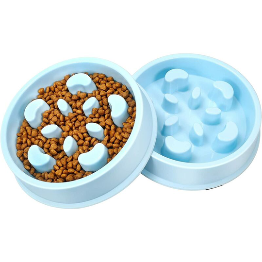 Basic Bowls Set of 2 Dog and Cat Bowls with Fun Design, Blue