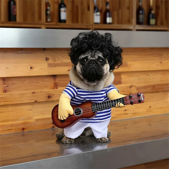 FVO - Pet Guitar Costume Dog Costumes Halloween Christmas Cosplay Party Funny Outfit Clothes(M)