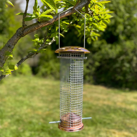 Golub Tube Bird Feeder