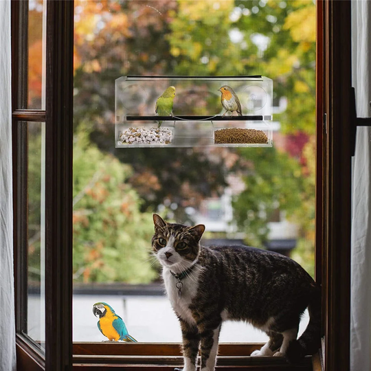 Acrylic Tray Bird Feeder