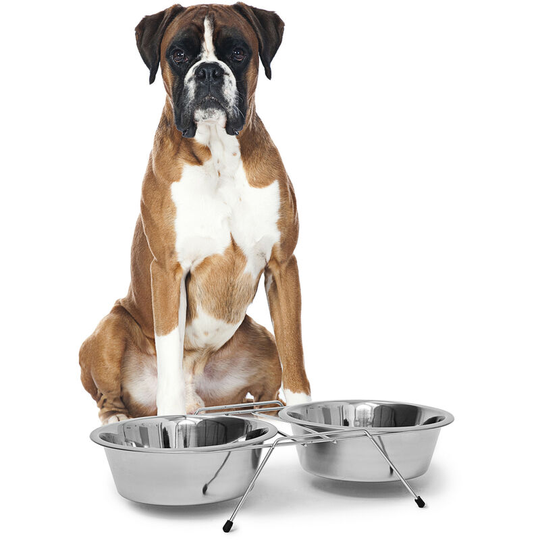 Relaxdays - Feeding Bowl 2 x 0.85 Liter Stainless Steel Set Of Two 2 With Double Bowl Stand And 2 Removable Bowls Elevated Feeder Also Suitable For